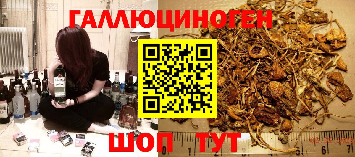 Гудермес  Псилоцибиновые грибы GOLDEN TEACHER  Псилоцибиновые грибы Psilocybine cubensis  Вход с VPN 