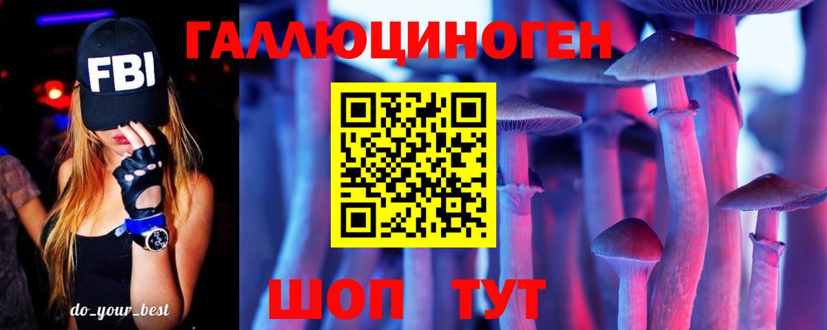 Псилоцибиновые грибы Cubensis Гудермес